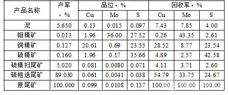  全流程閉路試驗結(jié)果