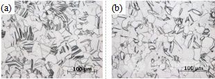 變形組織的金相照片，(a) 動態(tài)εp=0.06，(b) 準(zhǔn)靜態(tài)εp=0.08。