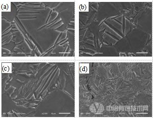 變形組織的SEM照片，(a)準(zhǔn)靜態(tài)εp=0.21，(b)動態(tài)εp=0.22，(c)準(zhǔn)靜態(tài)εp=0.37，(d)動態(tài)εp=0.41。