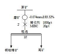 剛果（金）某銅鈷礦浮選工藝研究