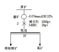 一段銅鈷浮選捕收劑種類試驗流程圖