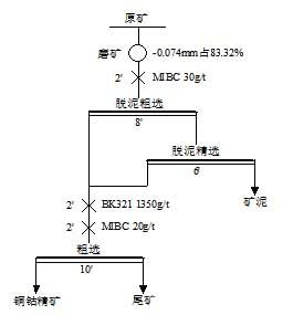 脫泥浮選試驗流程