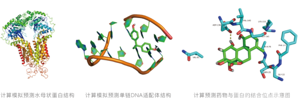 生物醫(yī)藥方向的微觀模擬