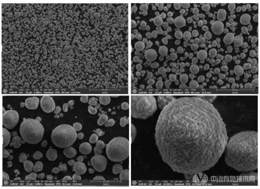鎳鈷錳氫氧化物-SEM圖