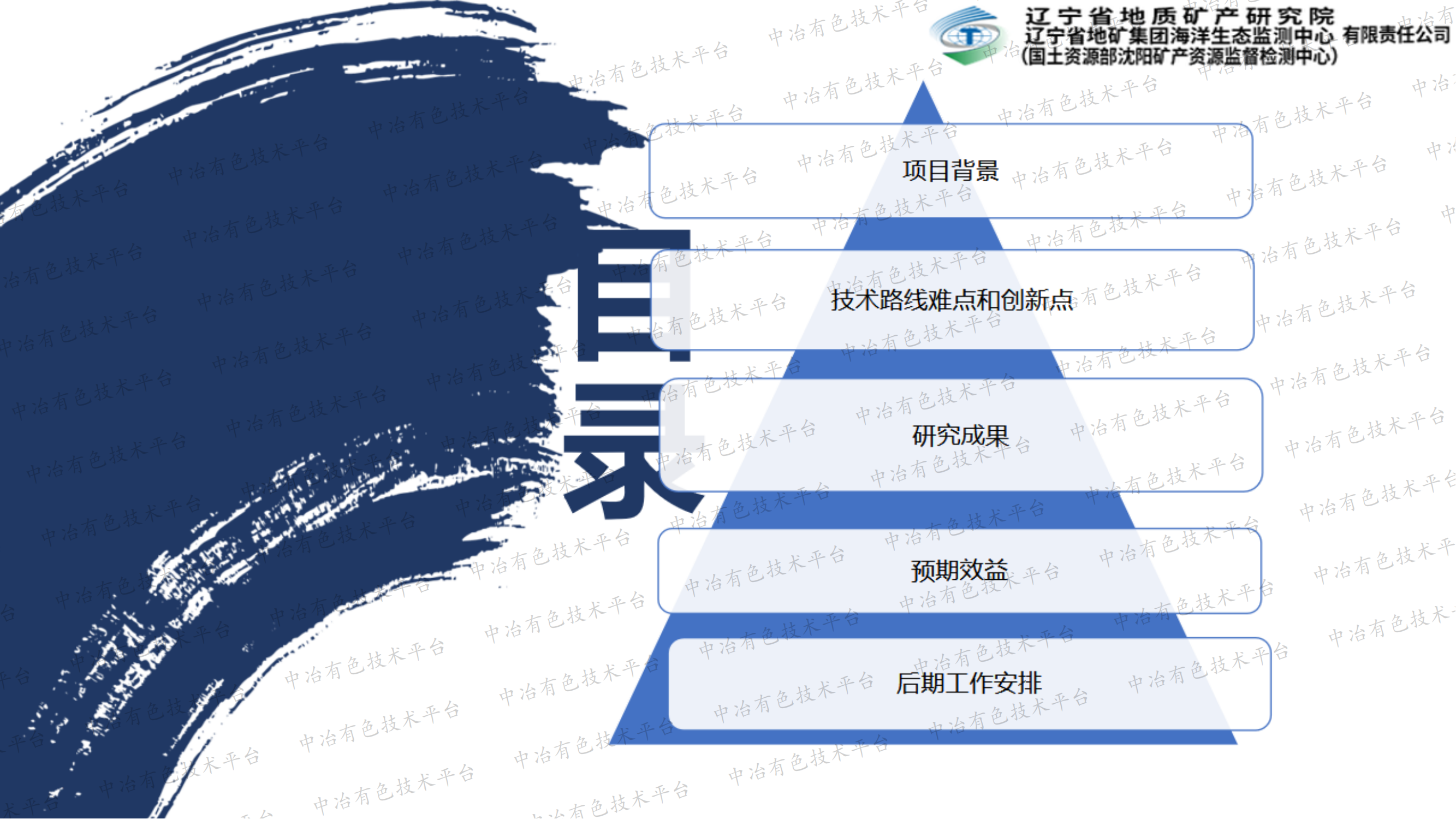 硼泥綜合利用技術(shù)