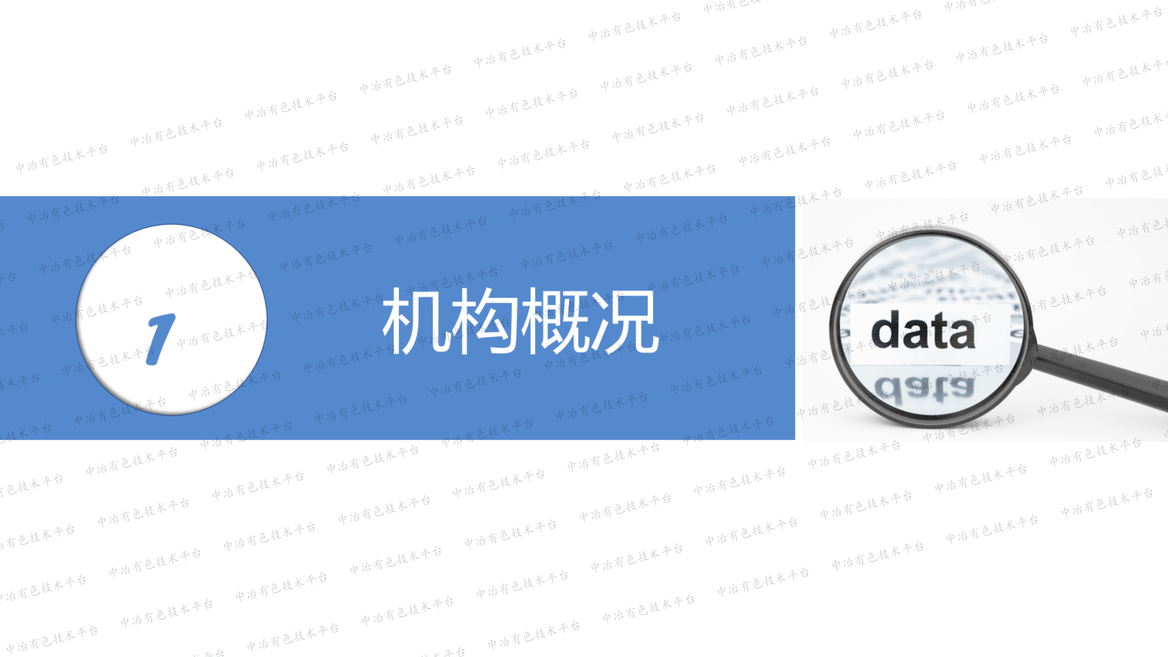 銅產業(yè)鏈信息資源國家基礎條件保障