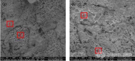 標示了能譜分析微區(qū)的1#–8#合金氧化表面的SEM照片;(a)~(h)依次對應1#~8#合金