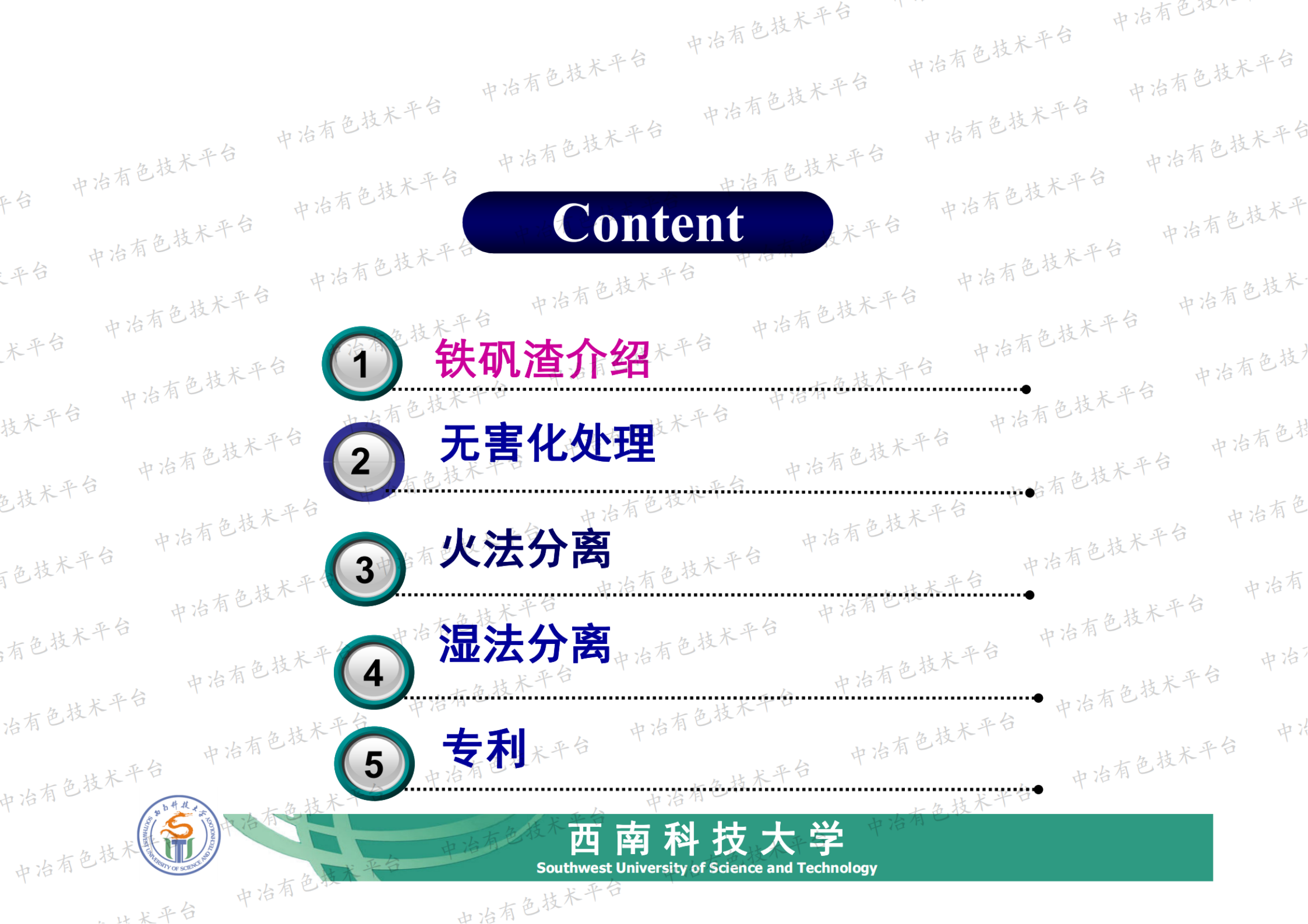 鐵礬渣無害化處理與資源化利用開發(fā)