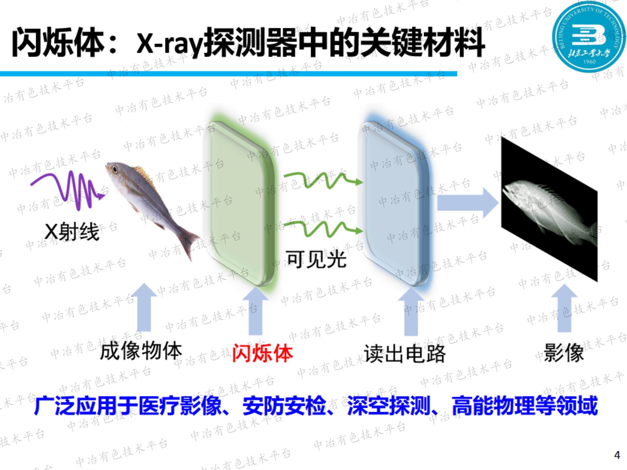 高光產額金屬鹵化物閃爍體的制備與X射線成像研究