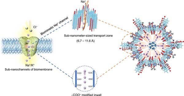 Nat. Commun.：準固態(tài)鈉電池中鈉離子傳導(dǎo)通道的仿生設(shè)計