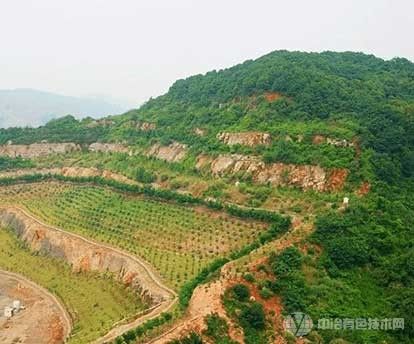 浙江智能化綠色礦山建設(shè)取得標(biāo)志性成果