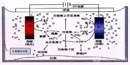 電解法