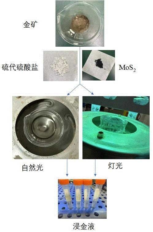 固體催化劑催化硫代硫酸鹽浸金的方法