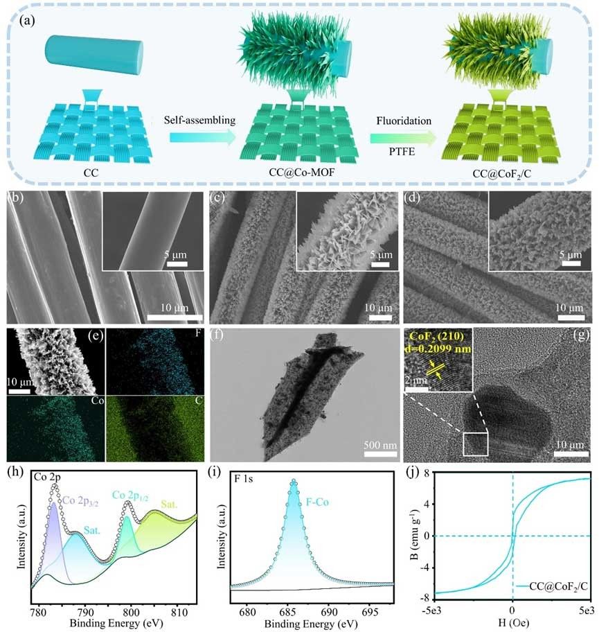 燕山大學馬志鵬、宋愛玲、邵光杰團隊AFM：鐵磁性CC@CoF2/C調(diào)控鋰動態(tài)軌跡實現(xiàn)超長深鍍沉積鋰金屬電池