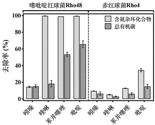 降解含氮雜環(huán)化合物的微生物及其在廢水處理中的應(yīng)用