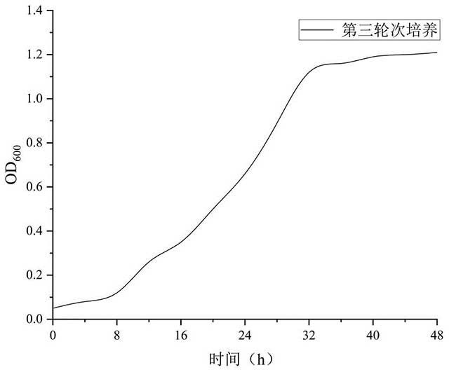 同步固碳脫氮的方法和應(yīng)用