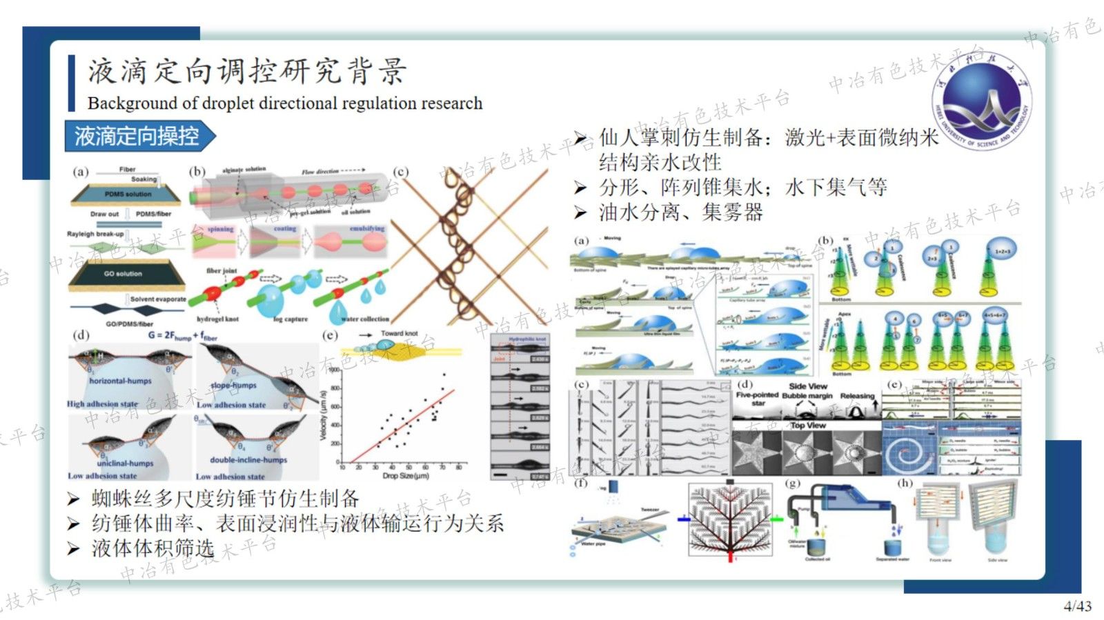 仿向日葵多級微錐定向液滴調(diào)控及防冰應(yīng)用