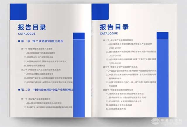 中國鎳企業(yè)全球競爭力發(fā)展報告