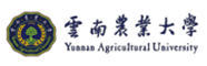 云南大學(xué)
